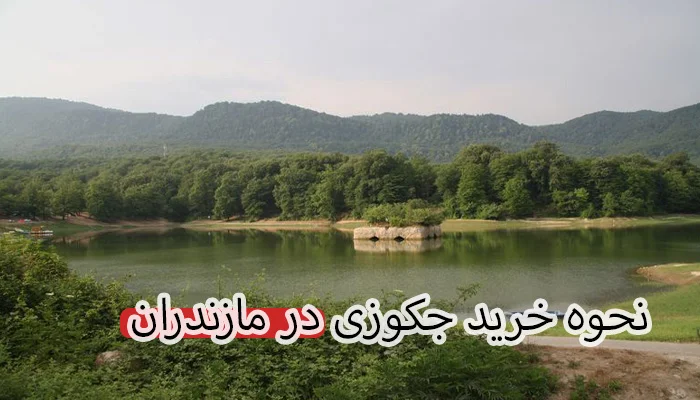 خرید و قیمت جکوزی در مازندران